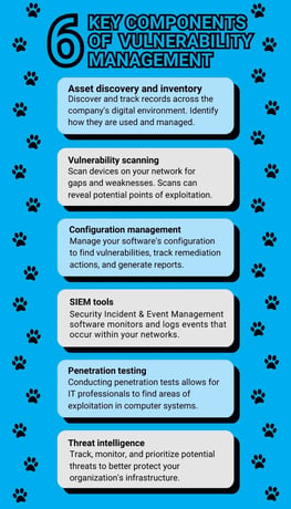 6 key vulnerability management