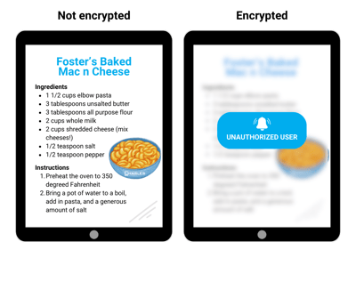 safeguard data with endpoint encryption
