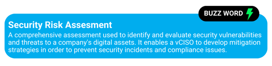 security risk assessment buzzword-1