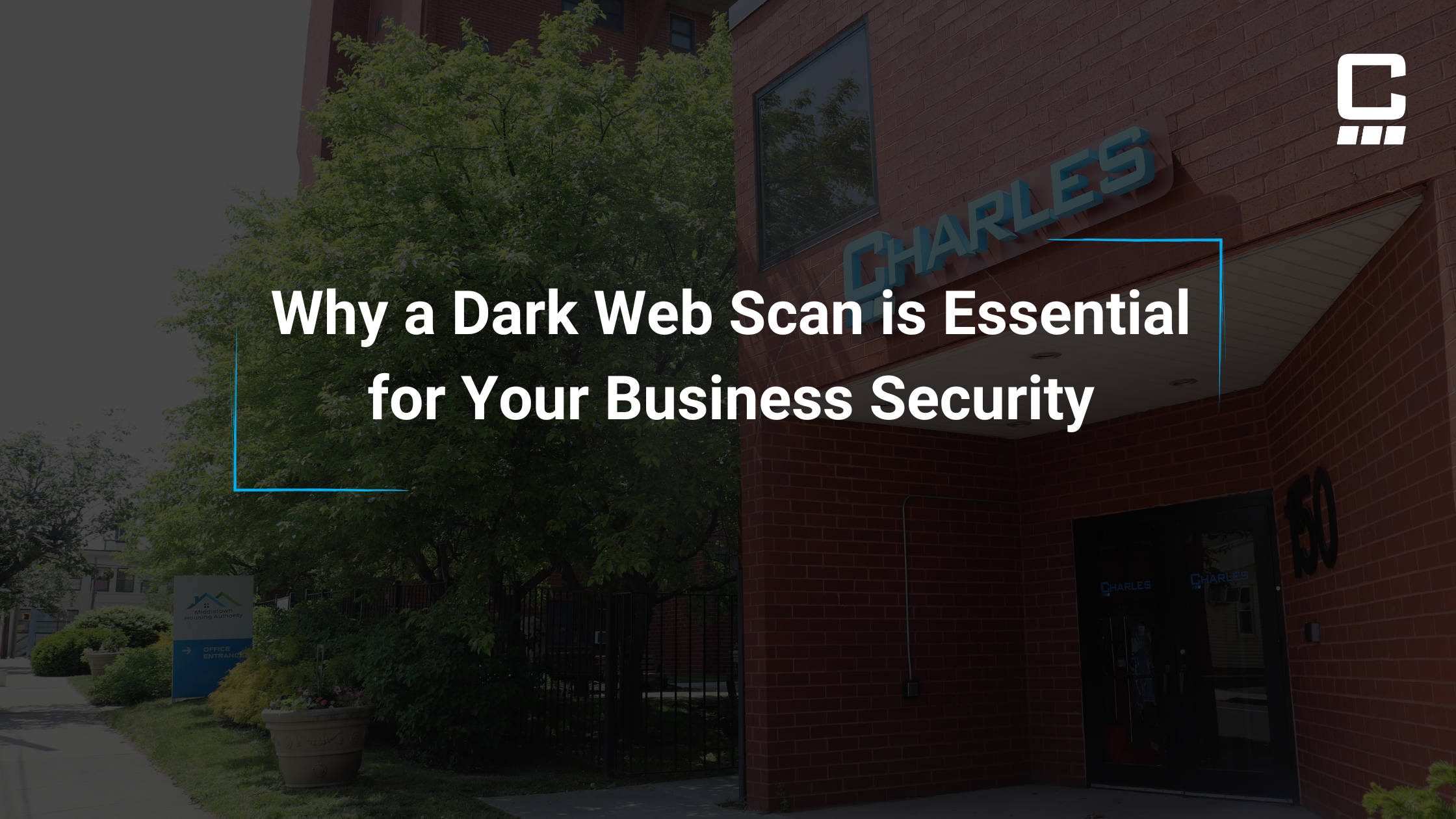 Why a Dark Web Scan is Essential for Your Business Security