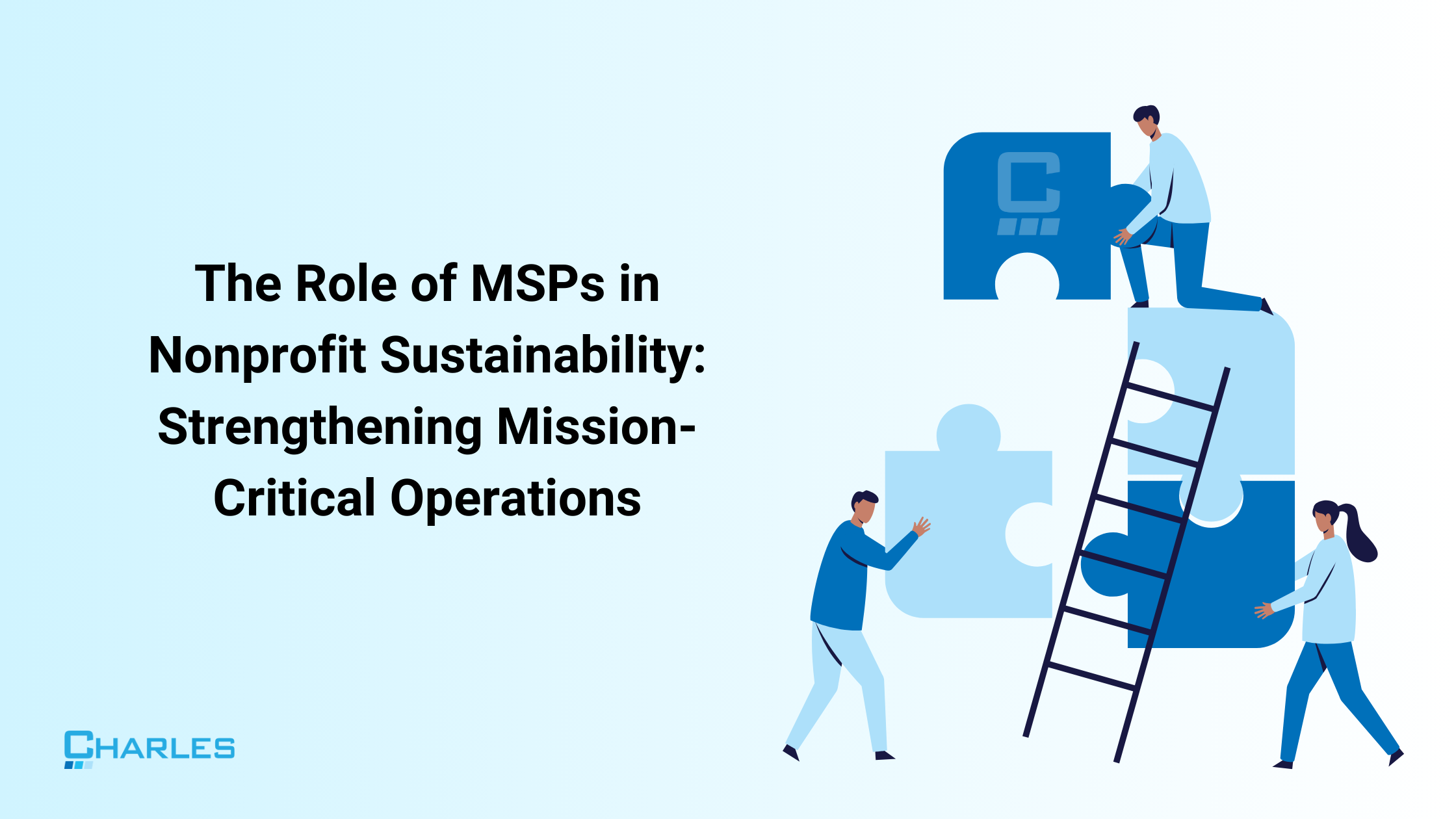 The Role of MSPs in Nonprofit Sustainability and Mission-Critical Ops